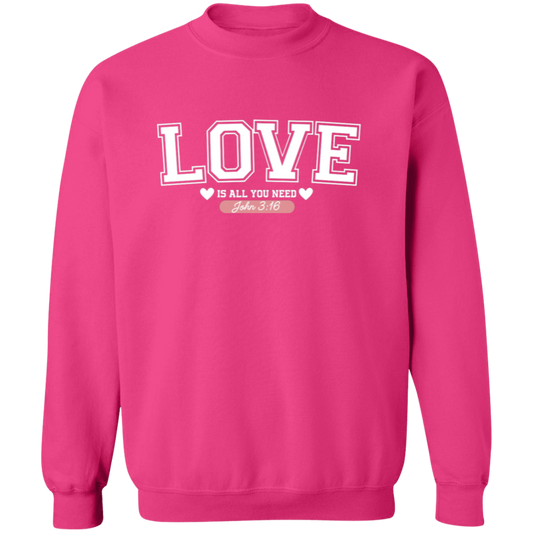 Love is all you need Sweatshirt